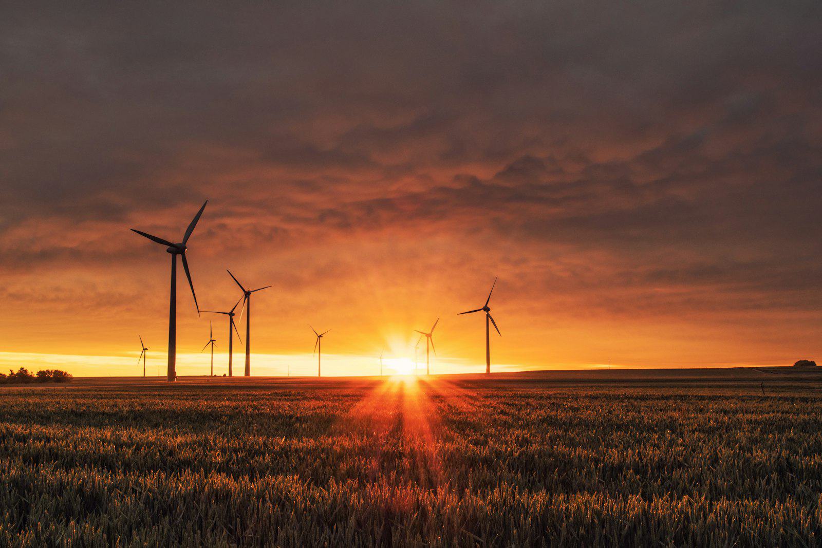 Wind turbines at sunset over farmland